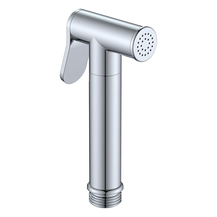 Bathroom Bidet Spray